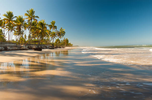 Find Your Perfect Seaside Getaway: Renting Walking Distance from Batumi Beach